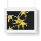 Dendrobium Alexandrae 'Fruits of Love' Orchid Essence, from the Original, Framed Print