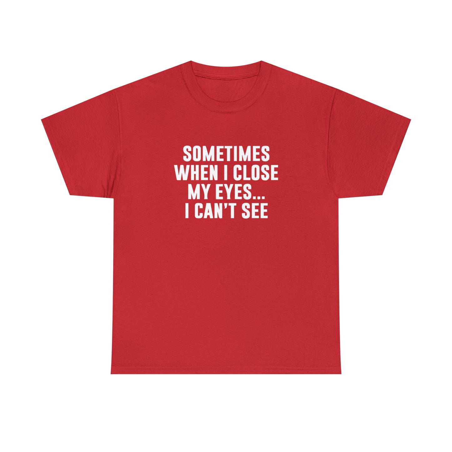 Sometimes When I Close My Eyes Sarcastic T-Shirt