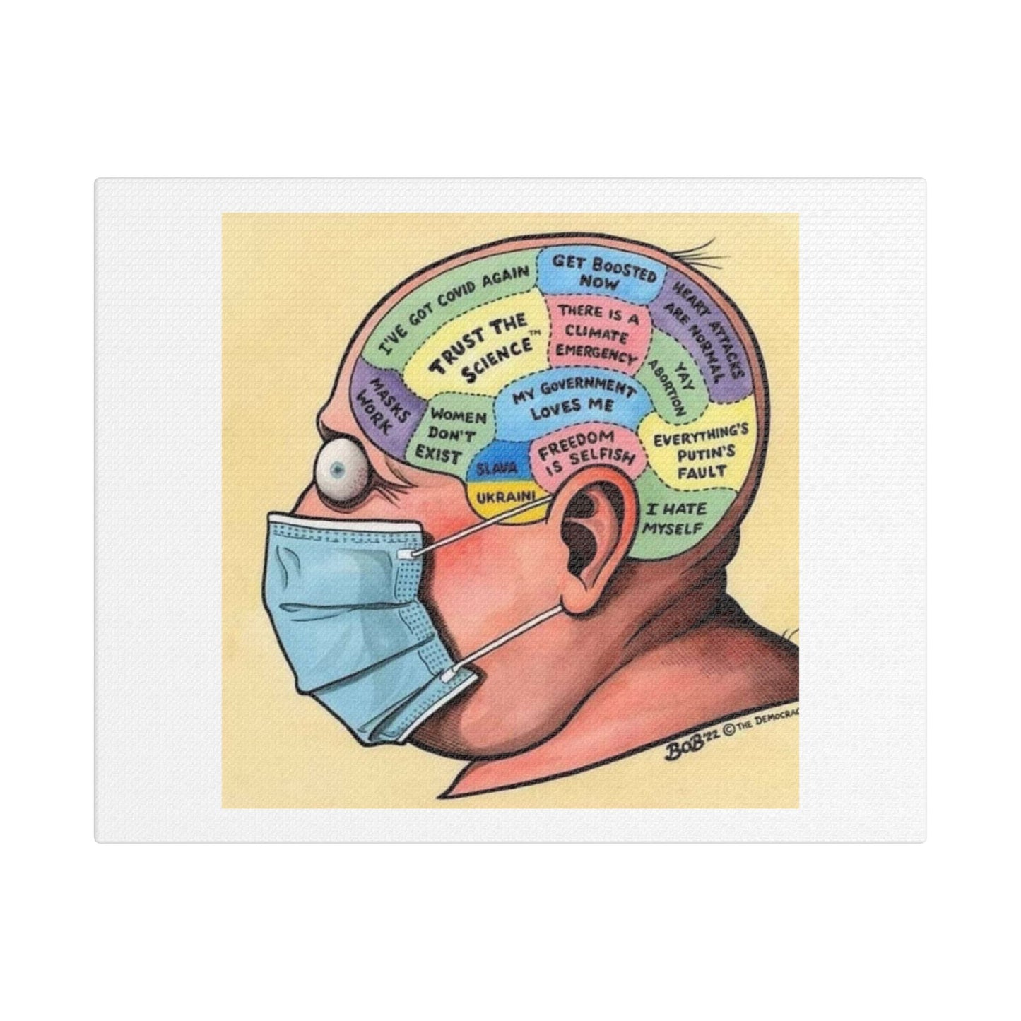 Phrenology of the Woke Mind Virus, Funny Meme Art Print on Canvas