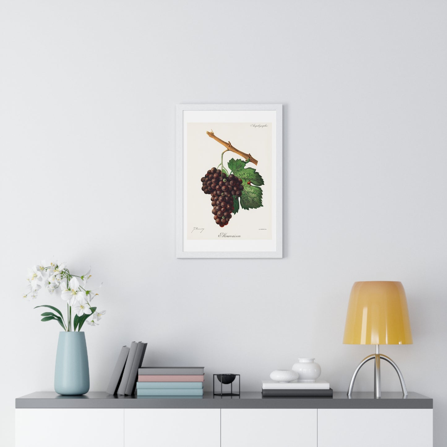 Mourvaison (1910) by Jules Troncy, Vintage Lithograph of Fresh Cluster of Grapes, from the Original, Framed Print