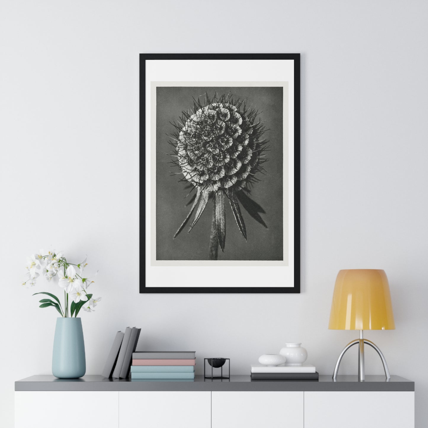 Phacelia Tanacetifolia (Lacy Phacelia) Enlarged 12 Times from 'Urformen der Kunst' (1928) by Karl Blossfeldt, from the Original, Framed Art Print