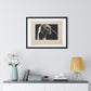 Self Portrait (1924) by Käthe Kollwitz, from the Original, Framed Art Print