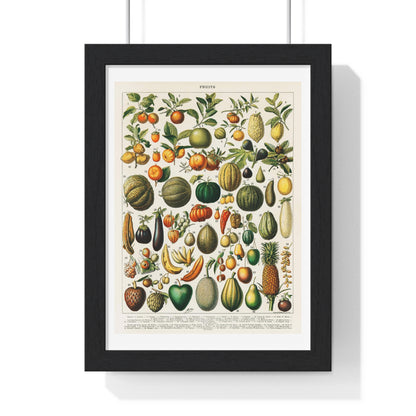 Vintage Illustration of Fruits and Vegetables from 'Nouveau Larousse Illustre' (1898), by Larousse, Pierre, Augé and Claude, from the Original, Framed Print