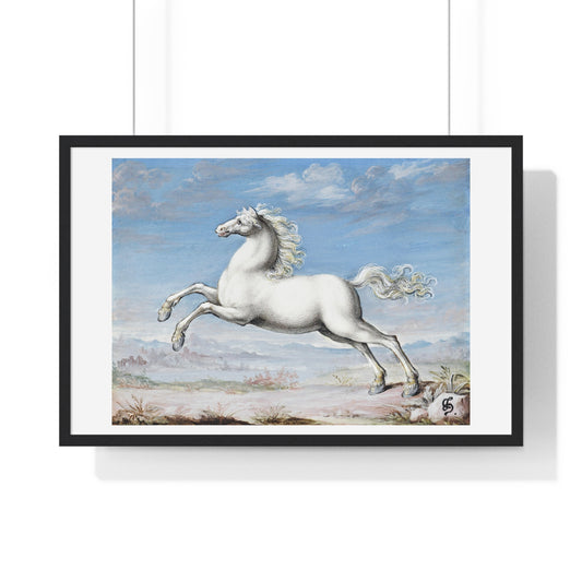 White Horse (1552–1601) by Joris Hoefnagel, from the Original, Framed Art Print