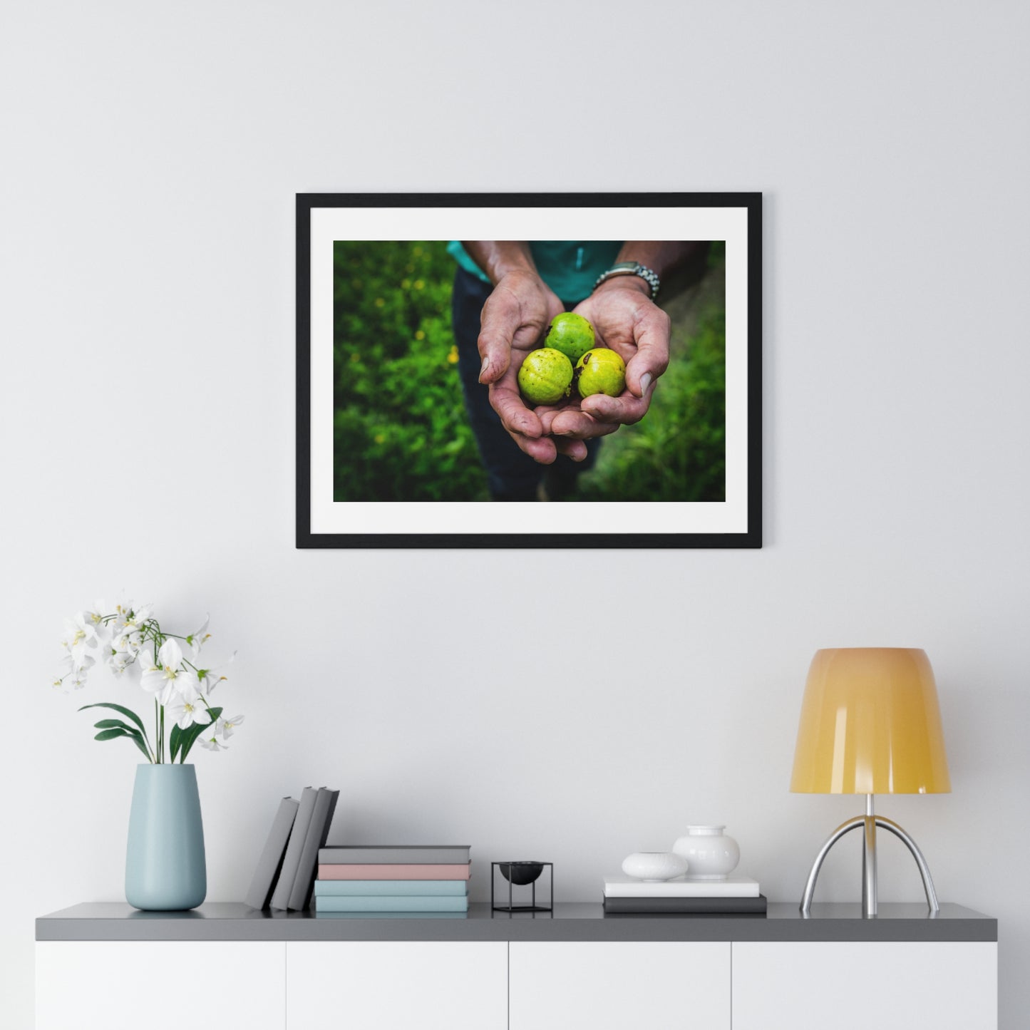 Limes in a Worker's Hands, Photographic Decor, Large Framed Print