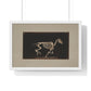 Skeleton of Horse Running, Leaving the Ground (circa 1881) by Eadweard Muybridge, from the Original, Framed Print