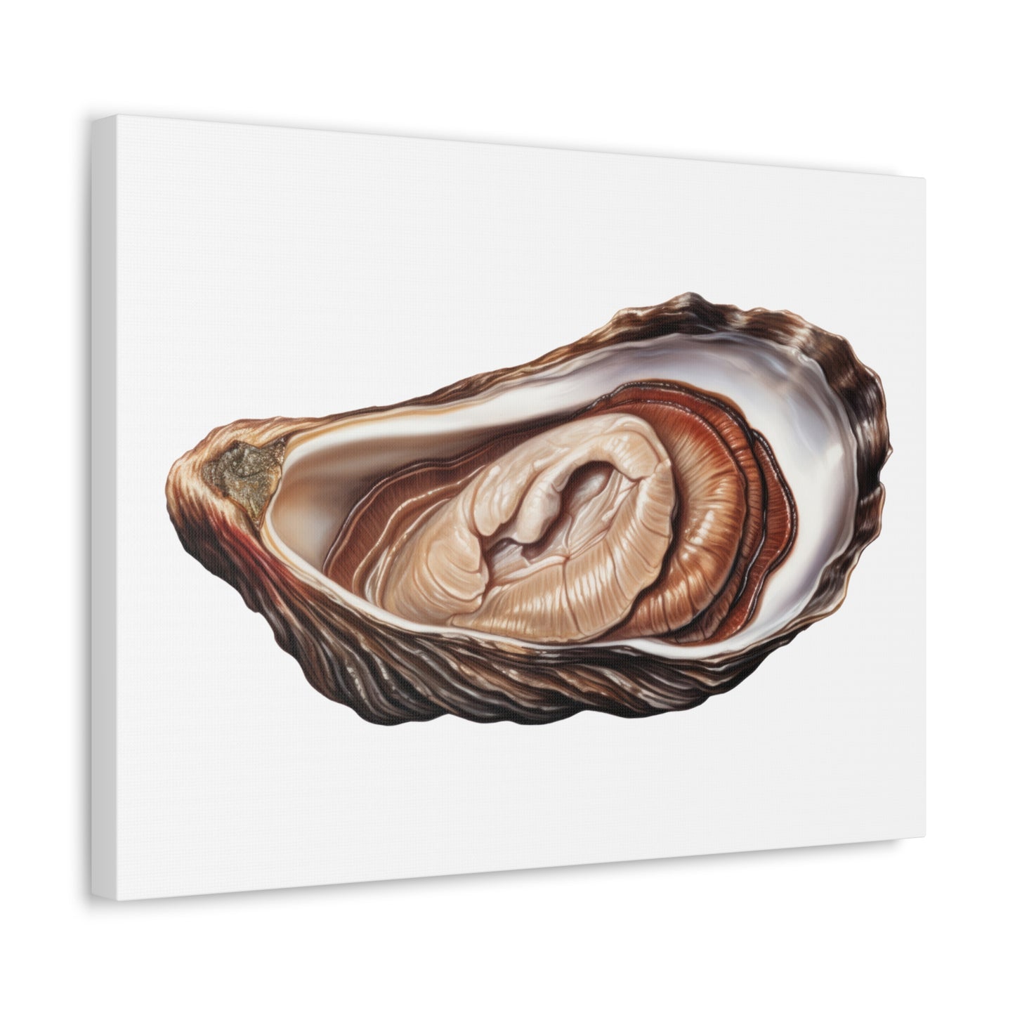 Jewellery Oyster Clam Invertebrate Art Print on Satin Canvas, Stretched