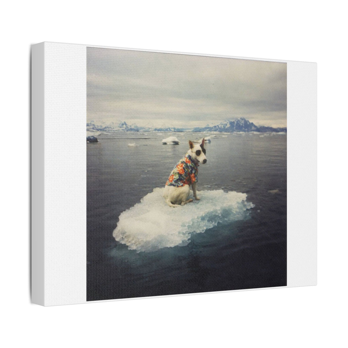 Arctic Adventure Dog, Surrealist Stretched Canvas Wall Art