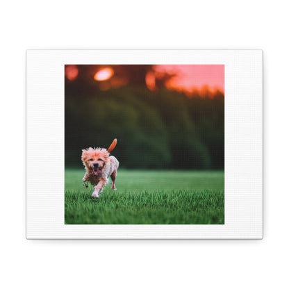 Dog Running In The Evening Light 'Designed by AI' on Canvas