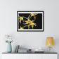 Dendrobium Alexandrae 'Fruits of Love' Orchid Essence, from the Original, Framed Print