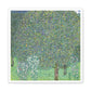 Rosebushes under the Trees (1905) by Gustav Klimt, Canvas Art Print from the Original