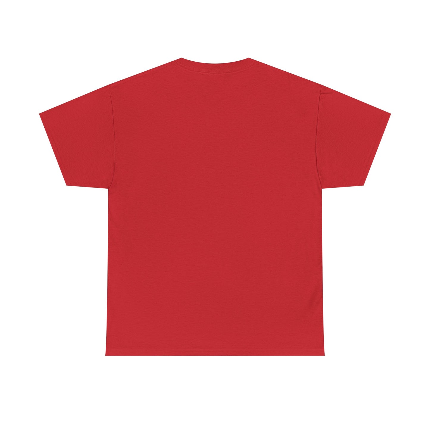 You Don't Have a Soul, You are a Soul, You Have a Body, Spiritual T-Shirt