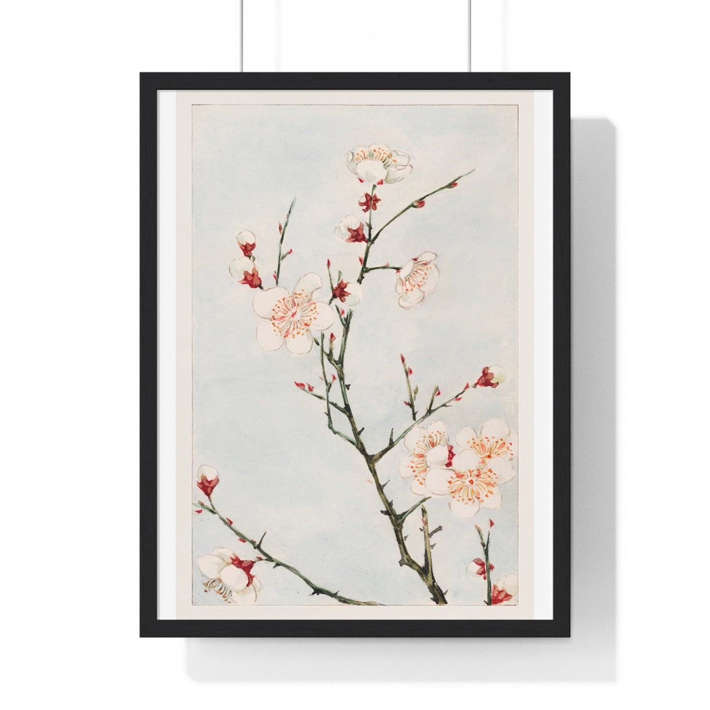 Plum Branches with Blossoms (1870–1880) by Megata Morikaga, from the Original, Framed Art Print