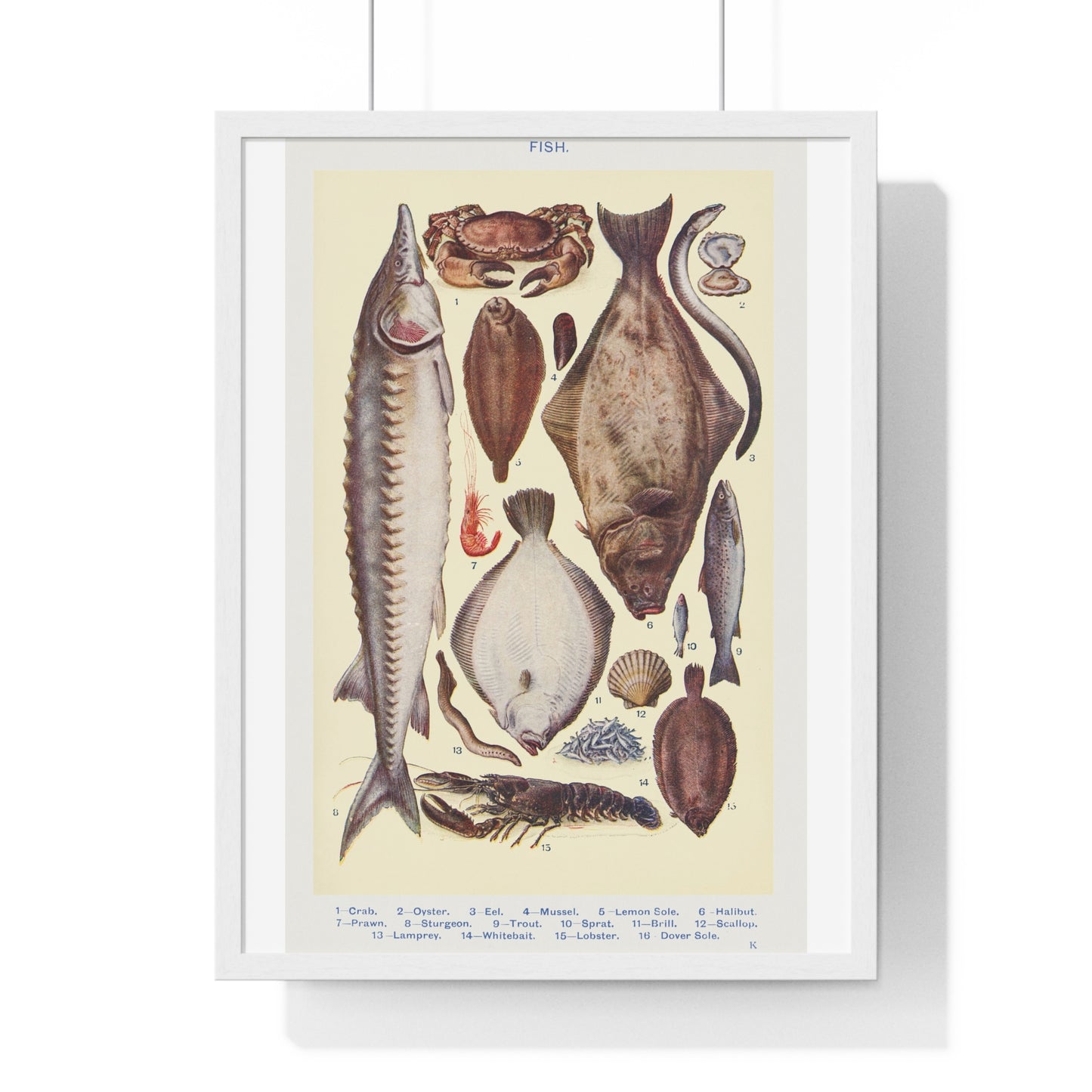 Vintage Fish and Seafood Illustration from Mrs Beeton's Book of Household Management (1861) from the Original, Framed Art Print