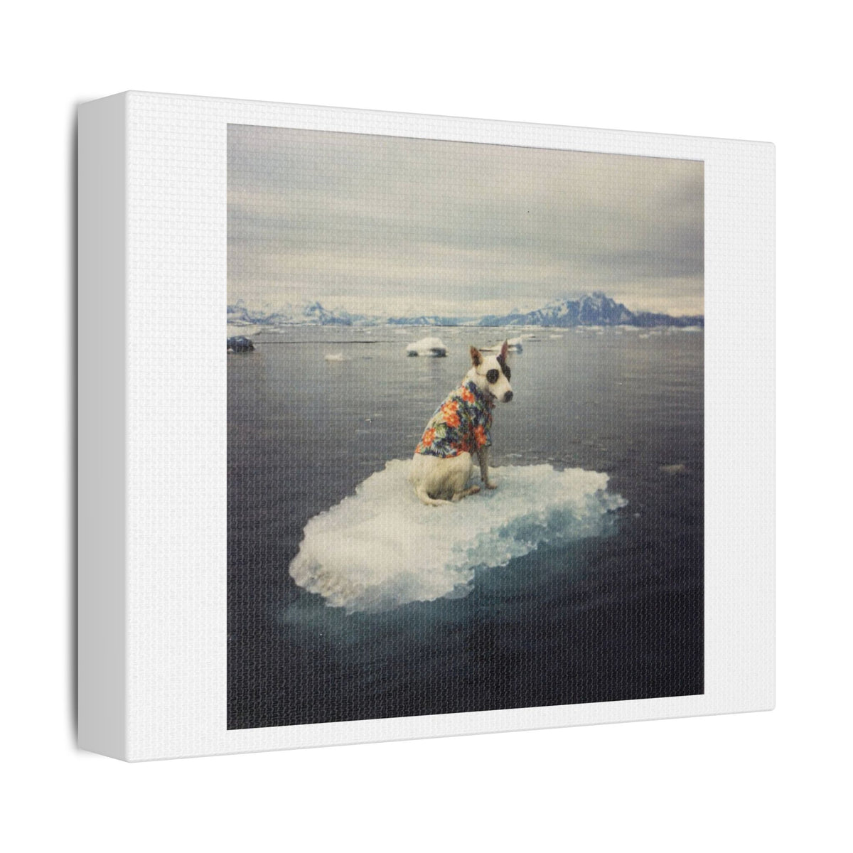 Arctic Adventure Dog, Surrealist Stretched Canvas Wall Art
