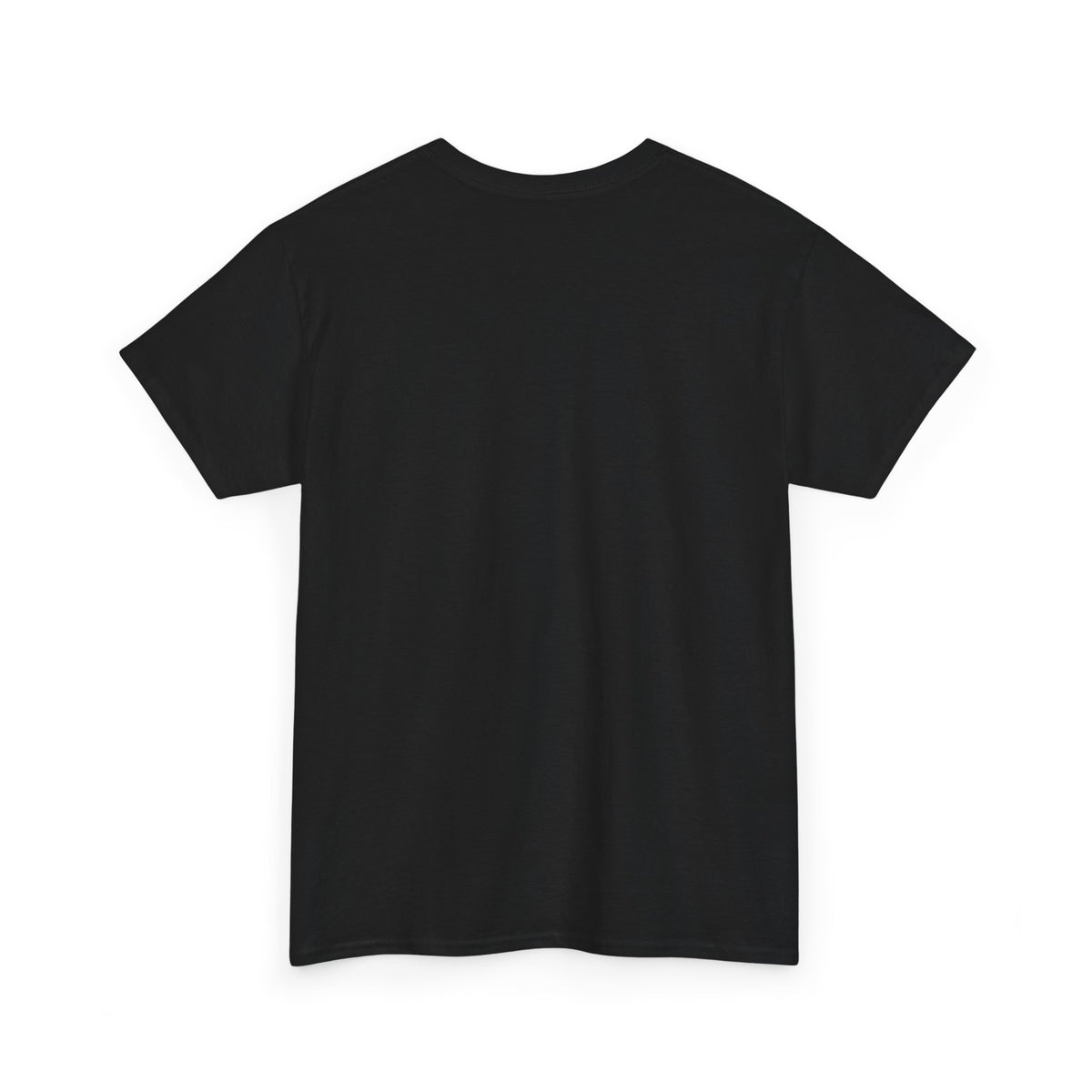 Johann Wolfgang von Goethe on Wisdom as Freedom, Philosophy Tribute T-Shirt