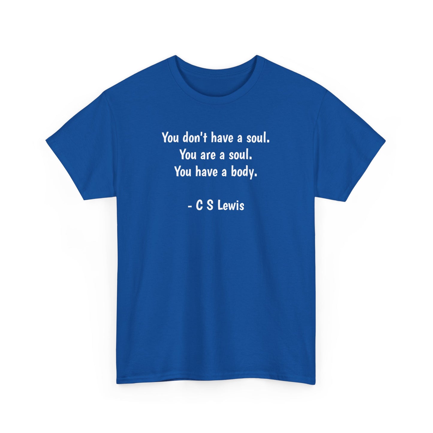 You Don't Have a Soul, You are a Soul, You Have a Body, Spiritual T-Shirt