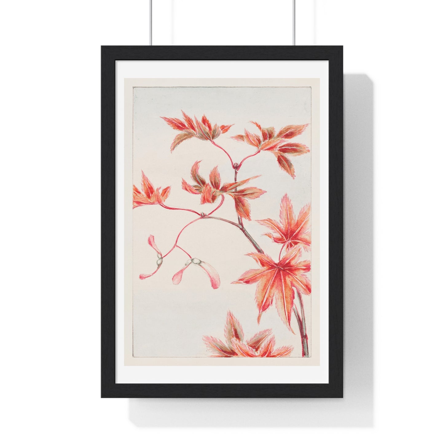 Branch of Maple Tree 'Momiji' with Leaves and Seeds (1870–1880) by Megata Morikaga, from the Original, Framed Art Print