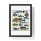 L’Histoire Générale des Voyages (1747-1780) by Unknown, a Collage of Colourful Rare Exotic Fish, from the Original, Framed Print