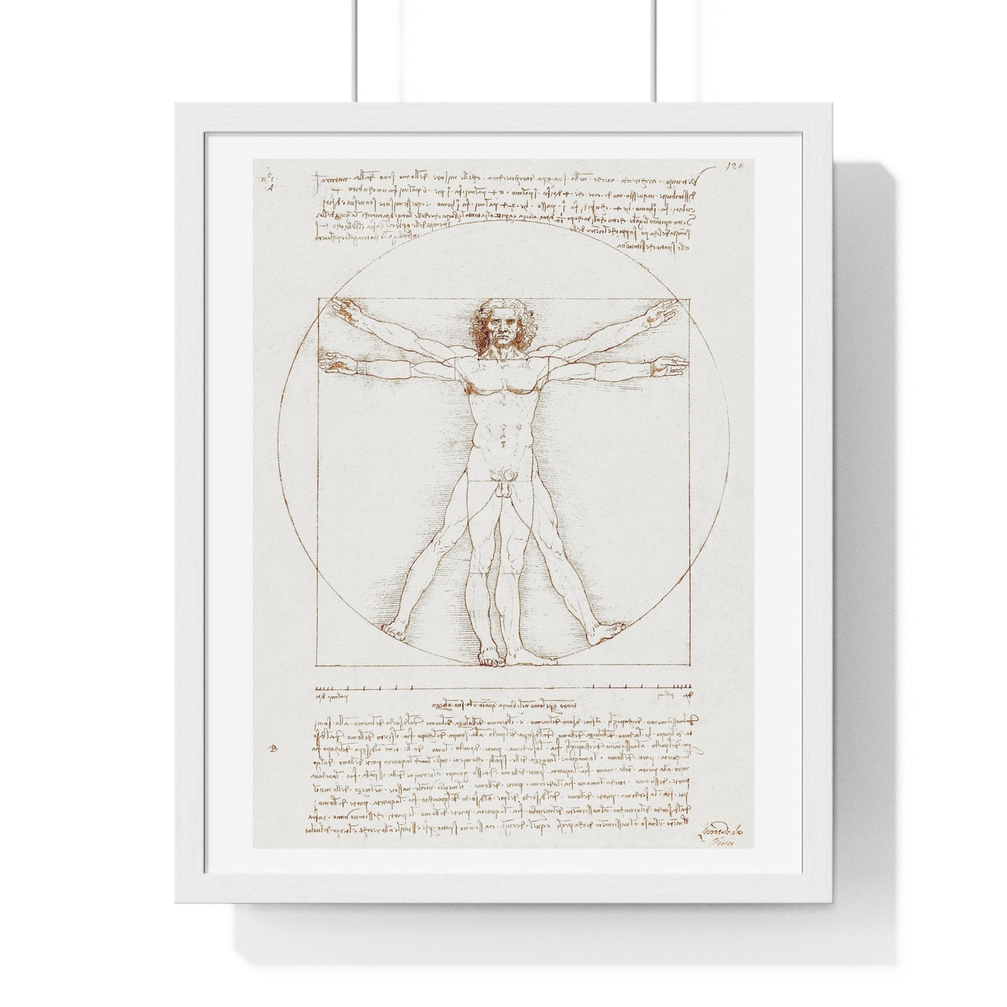 Vitruvian Man (circa 1490) by Leonardo da Vinci, from the Original, Framed Art Print