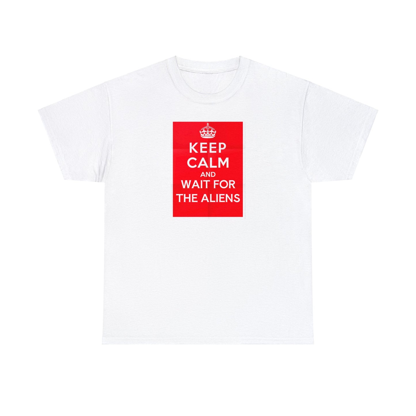 'Keep Calm and Wait for the Aliens' Funny T-Shirt