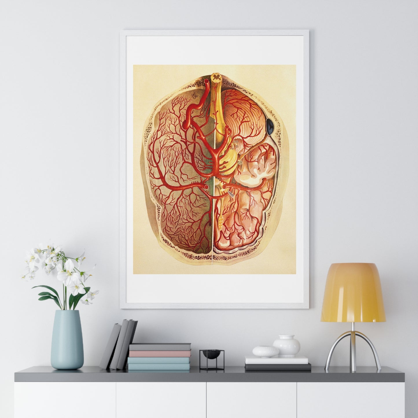 Brain Posterior View, Colour Lithograph by Brocades Great Britain, from the Original,  Framed Art Print