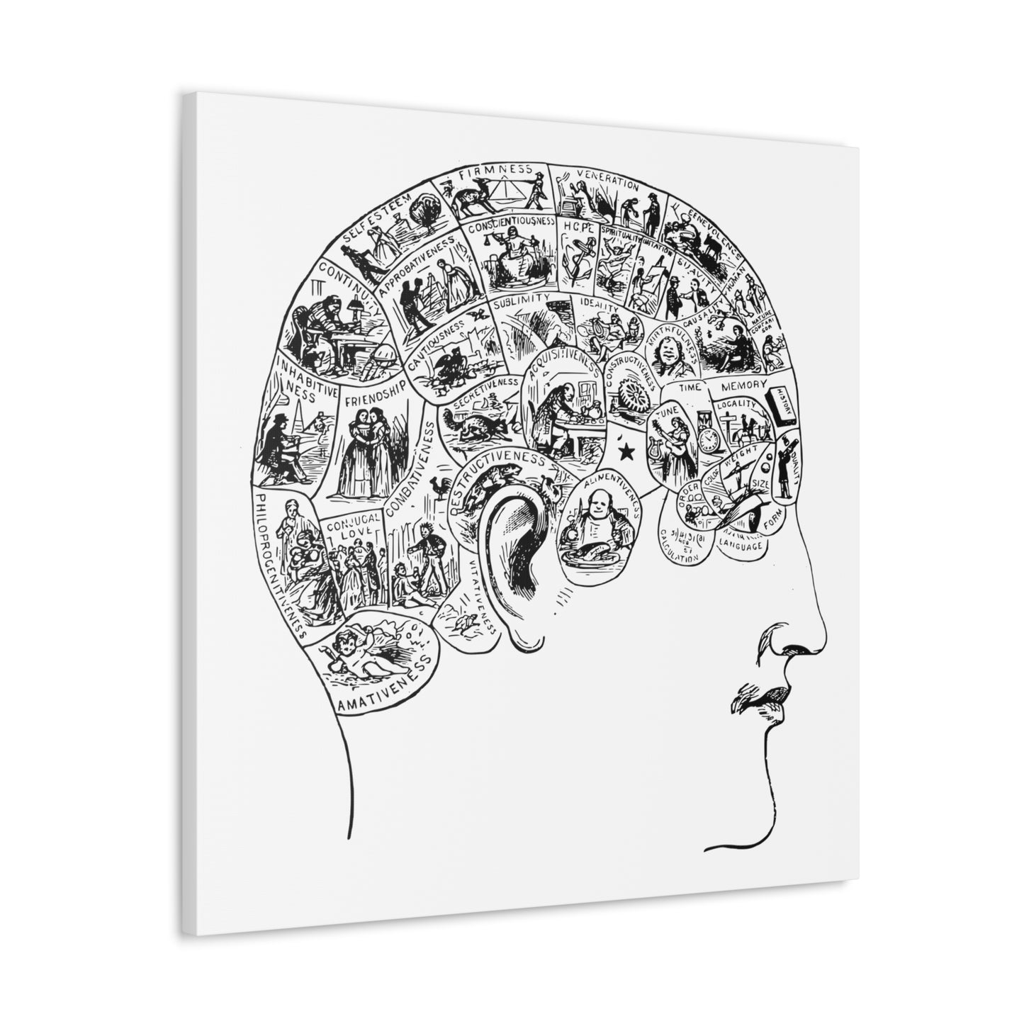 Victorian Phrenology Drawing, 'Symbolic Head Illustrating the Natural Language of the Faculties' (1890) from the Original, Print on Canvas