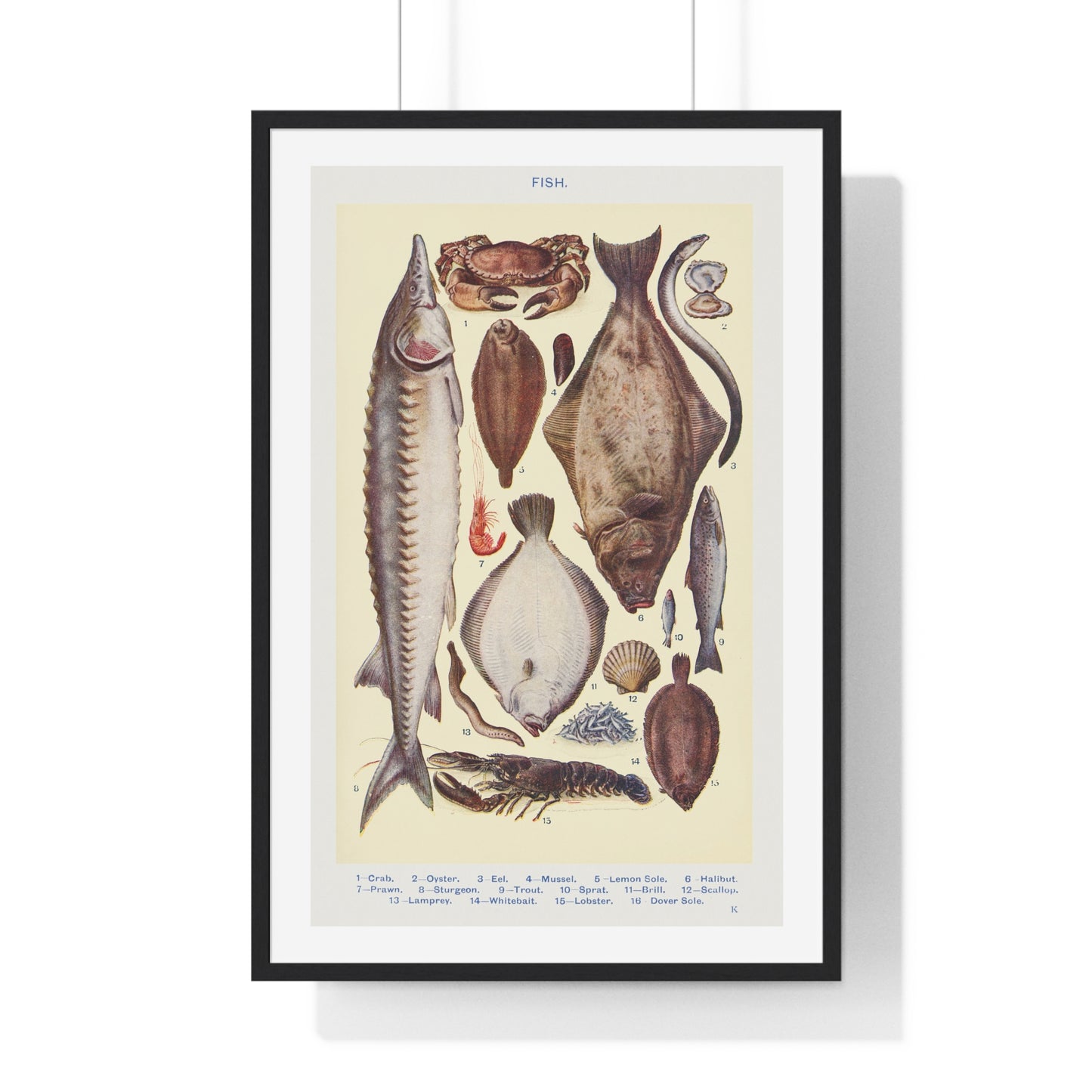 Vintage Fish and Seafood Illustration from Mrs Beeton's Book of Household Management (1861) from the Original, Framed Art Print