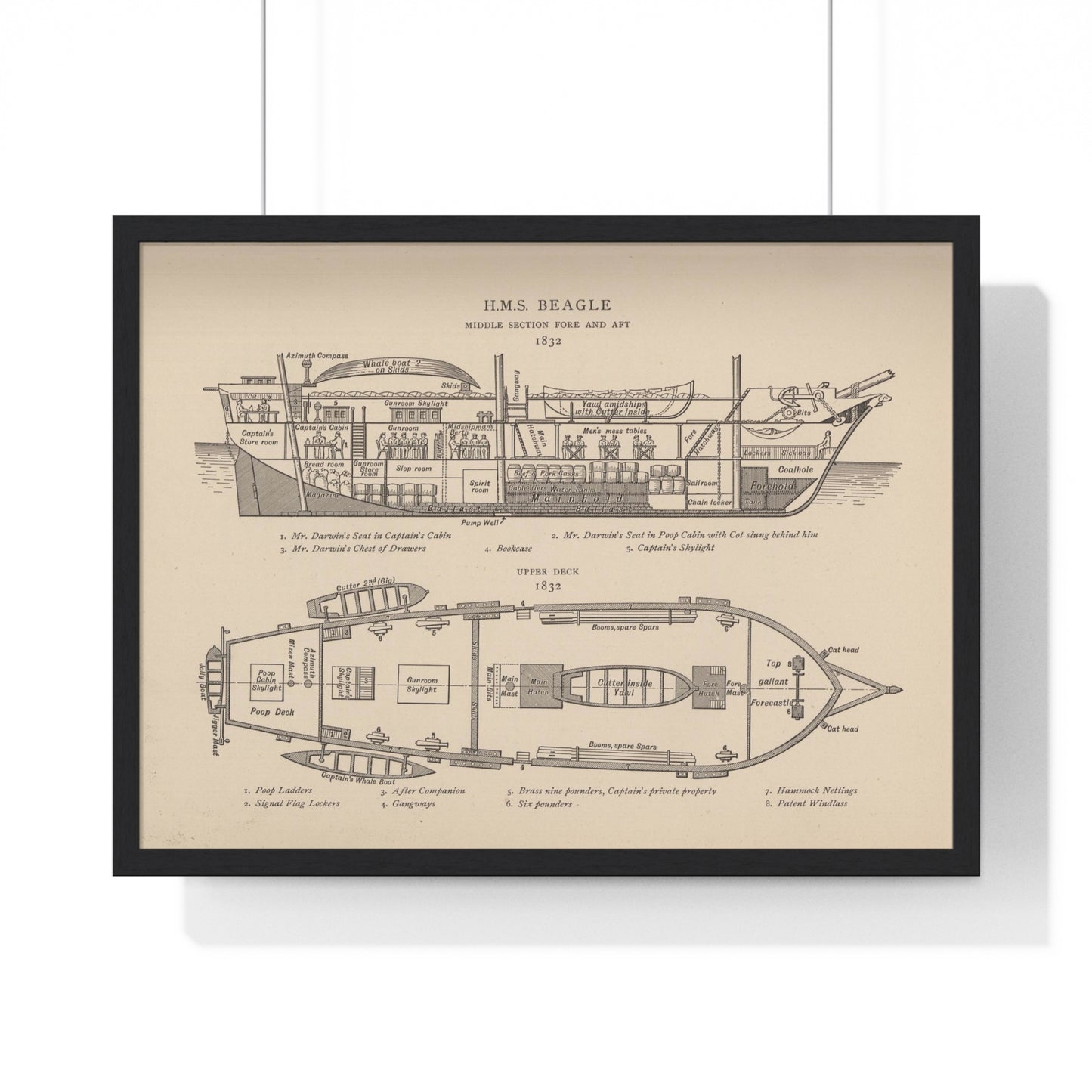 HMS Beagle Antique Print (1832) Middle Section Fore and Aft from the Original, Framed Art Print