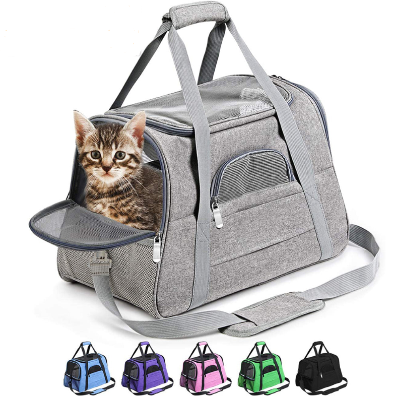 Pet Carrier Travel Bag Backpack Design