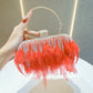 Rhinestone Tassel Feather-Trimmed Clutch Bag
