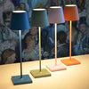 Vireous Multi-Colours Cordless Rechargeable Table Lamp