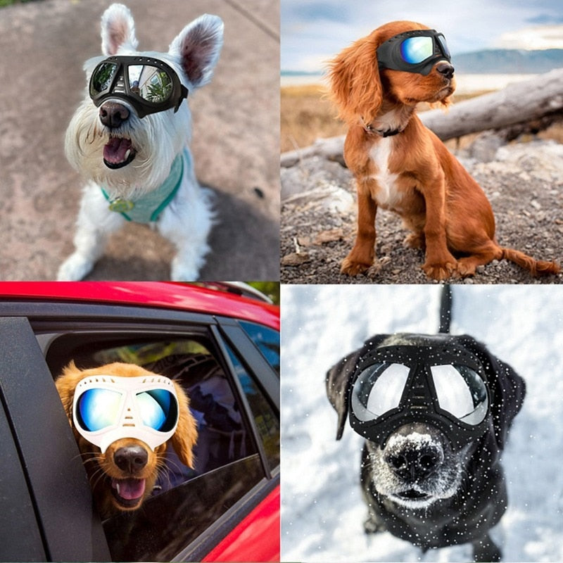 Soft Frame Puppy and Dog Glasses Goggles