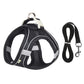 Dog Body Harness and Lead Set for Small Dogs
