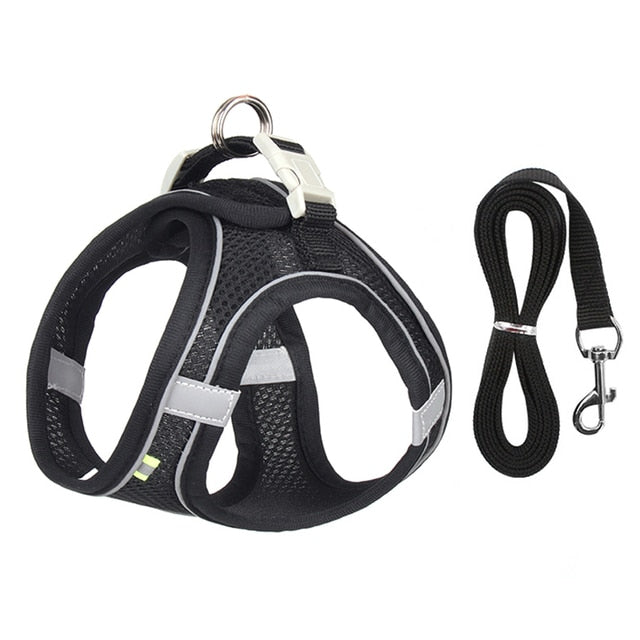 Dog Body Harness and Lead Set for Small Dogs