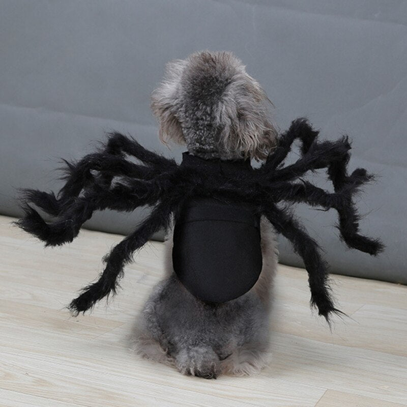 Spider Costume for Pets Halloween and Party Games