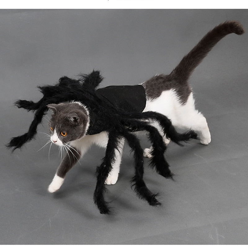 Spider Costume for Pets Halloween and Party Games