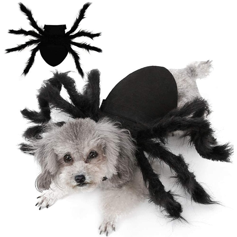 Spider Costume for Pets Halloween and Party Games