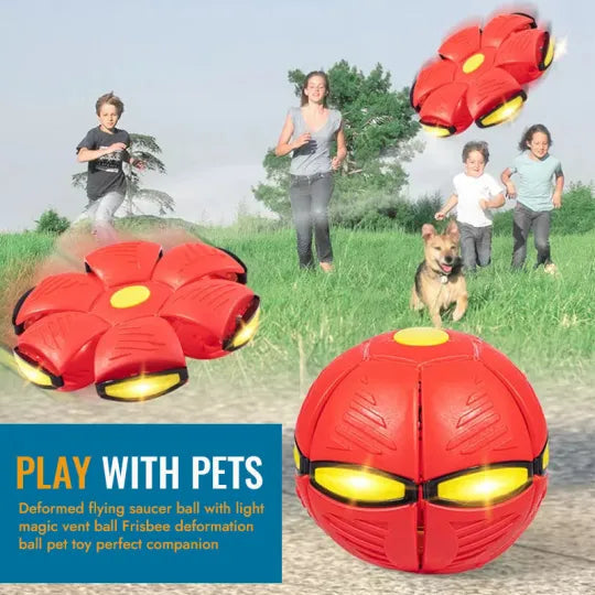 Pet Toy Flying Saucer Soft Plastic Ball Frisbee