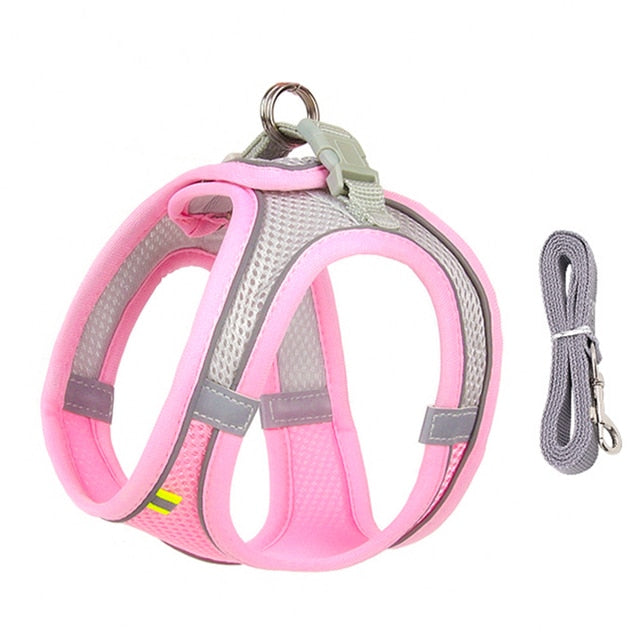 Dog Body Harness and Lead Set for Small Dogs