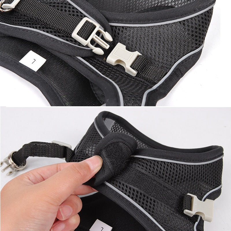 Dog Body Harness and Lead Set for Small Dogs