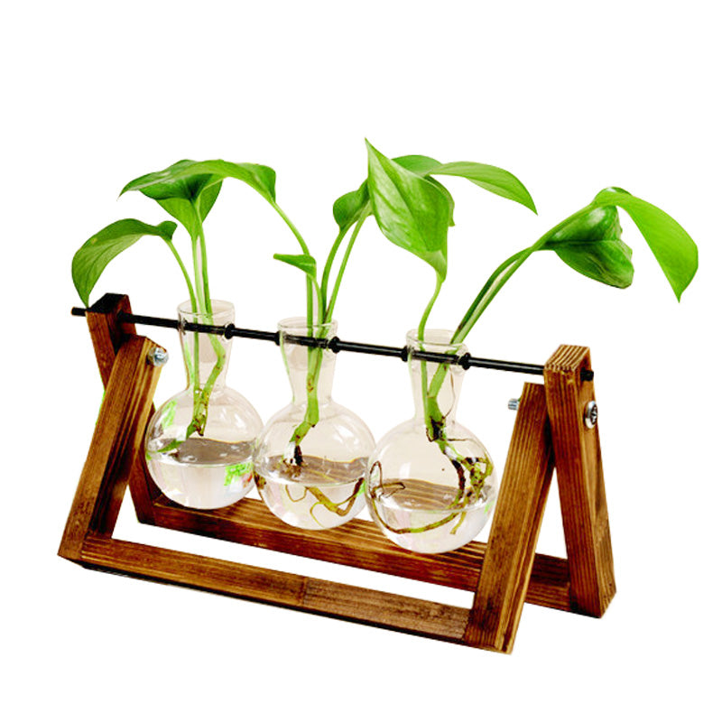 Transparent Terrarium Vase, Laboratory Sample Bottles