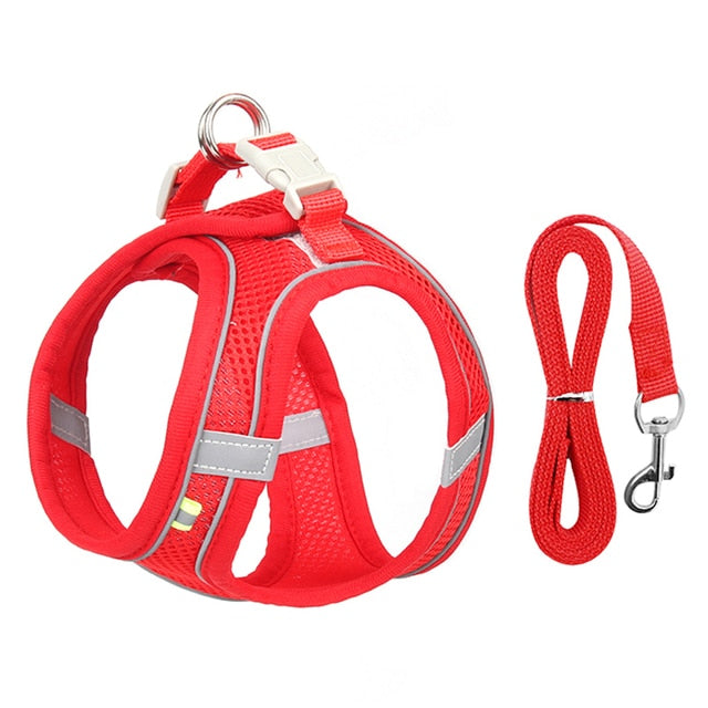 Dog Body Harness and Lead Set for Small Dogs